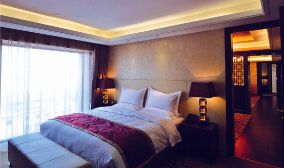 賓館燈具設(shè)計(jì)案列